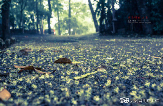 杭州满觉陇-杭州市必去景点