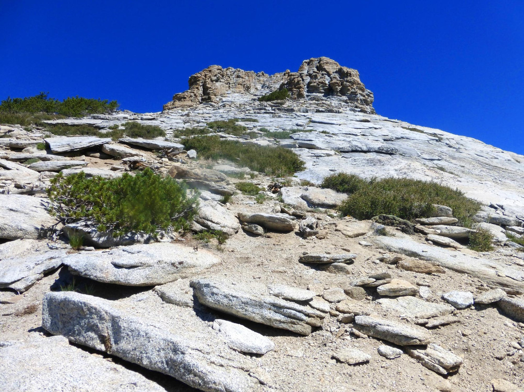 May Lake Trail-优胜美地国家公园必去景点