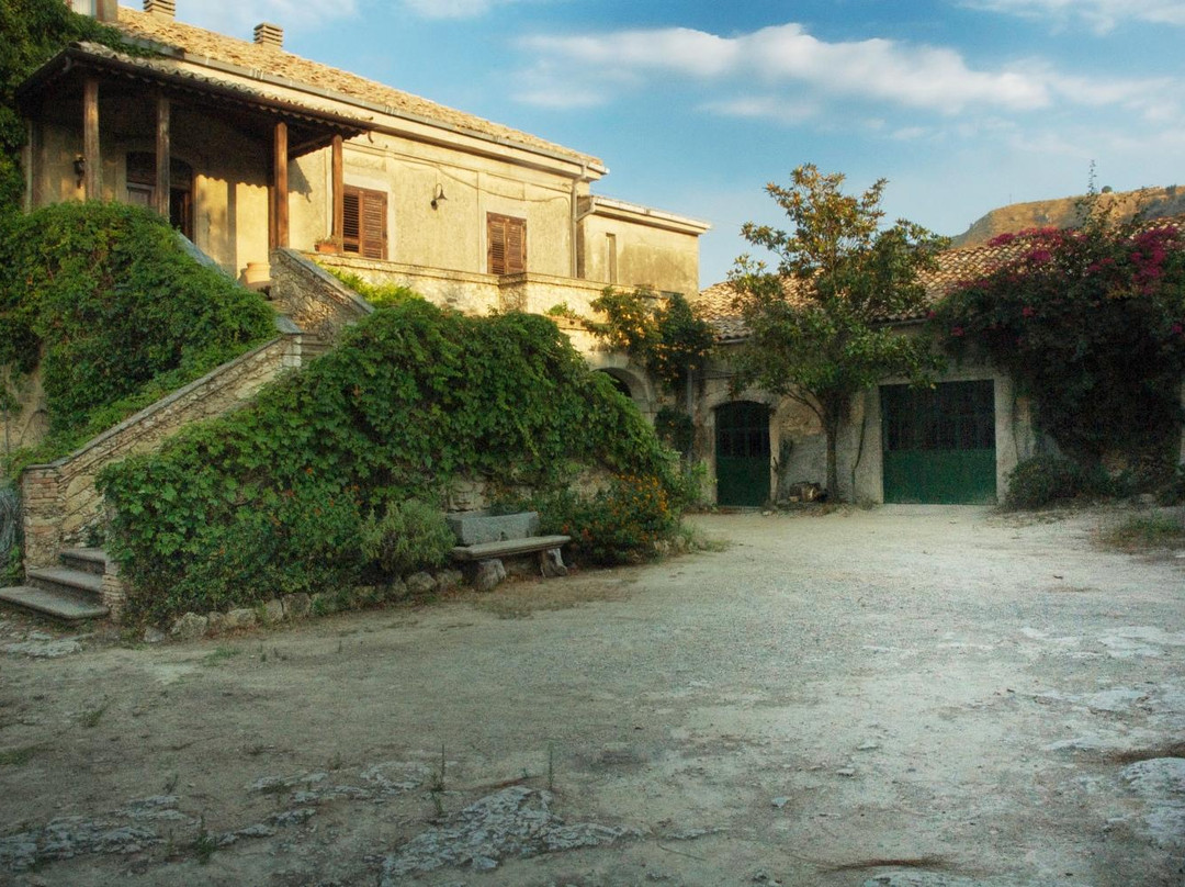Azienda Agricola Blandini景点图片