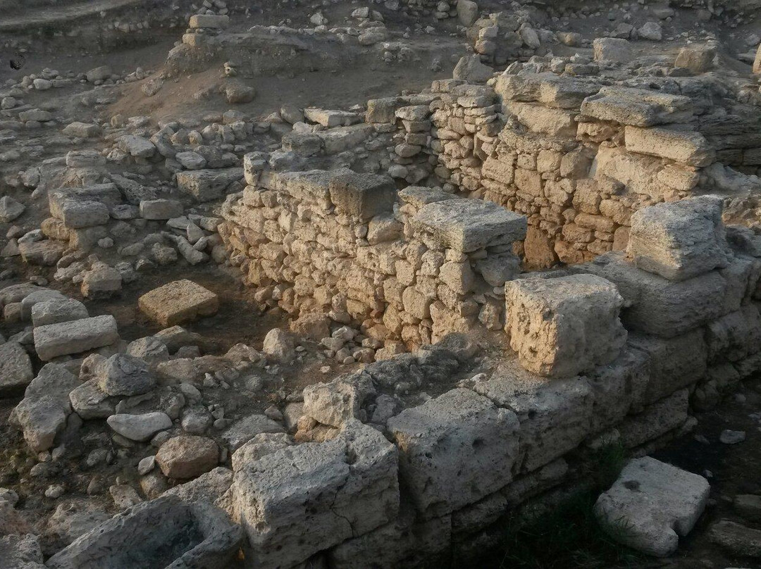 Kalos Limen Ancient Greek Settlement景点图片