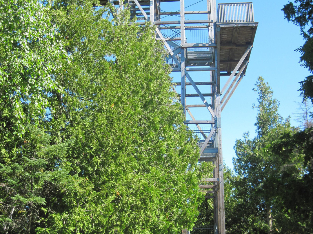 Bruce Peninsula National Park-托伯莫里必去景点