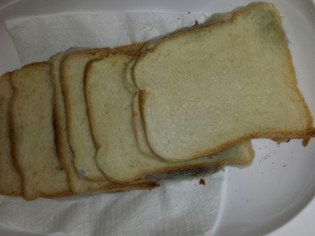 Mareschi Palace Hotel