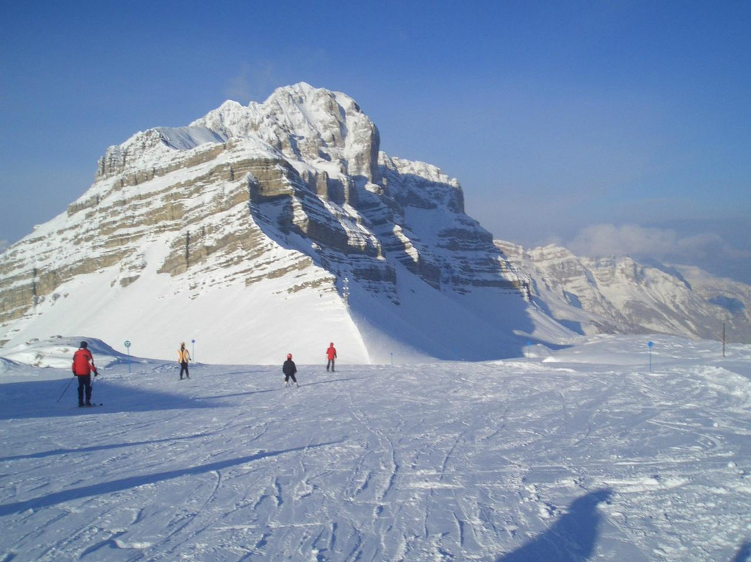 Scuola di Sci Dolomiti-马多纳迪坎皮格里奥必去景点