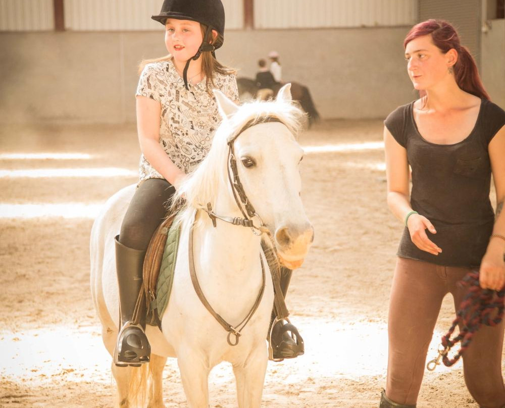 Drumcliffe Equestrian-恩尼斯必去景点