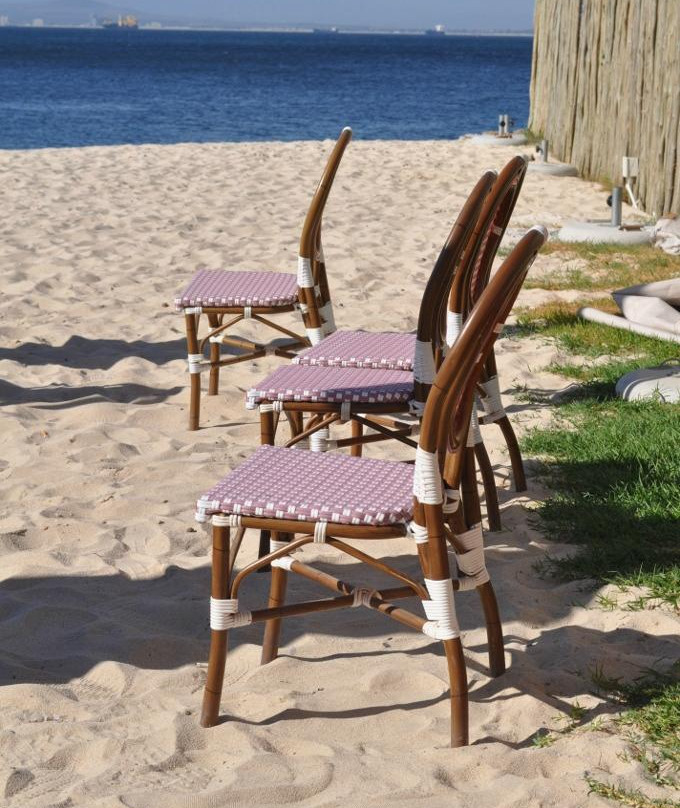 CapeScot Tours-Rondebosch必去景点