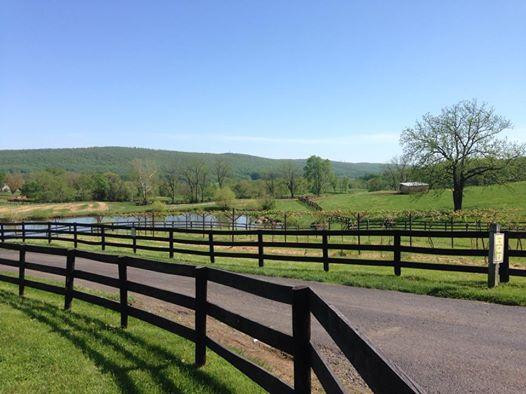 Chrysalis Vineyards at The Ag District-Middleburg必去景点