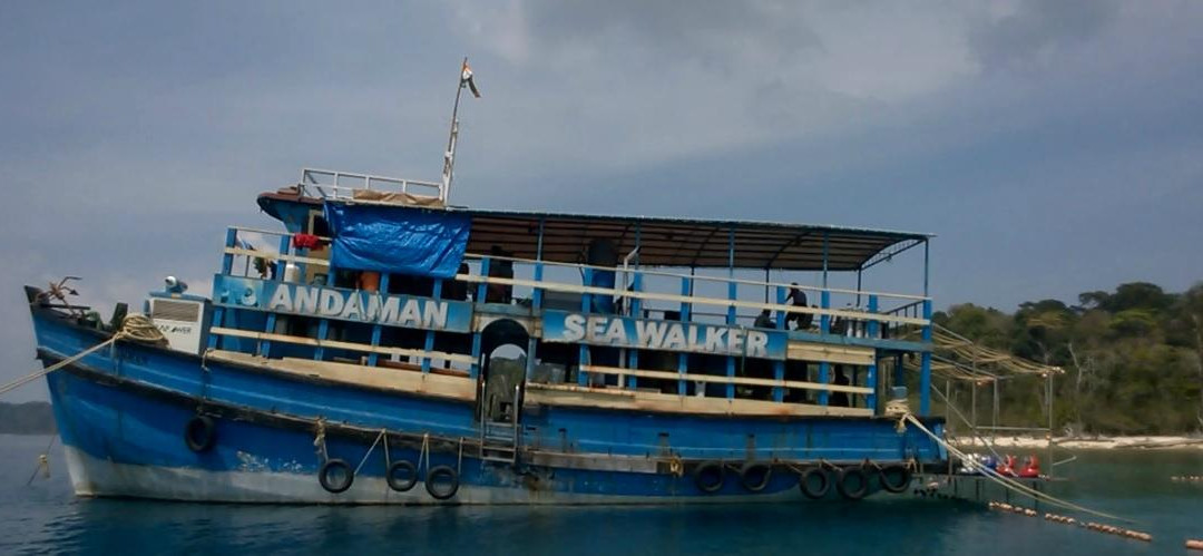 Sea Link Adventures-布莱尔港必去景点