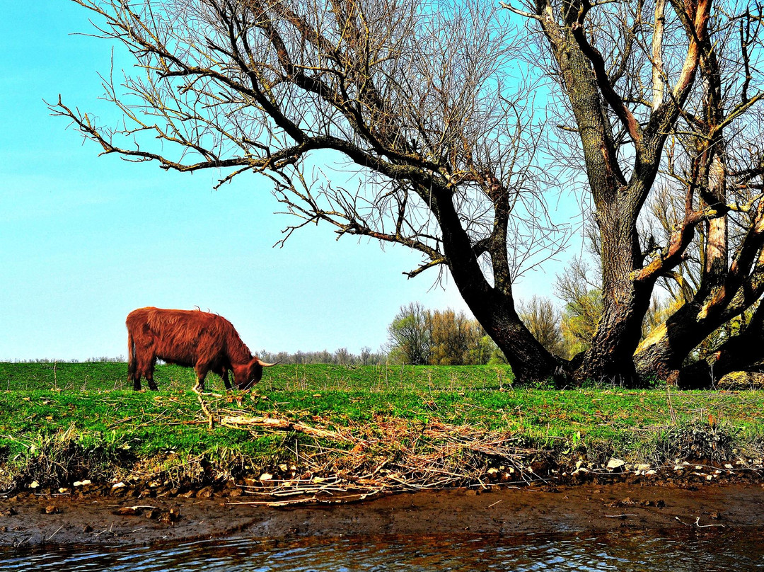 Drimmelen旅游攻略图片
