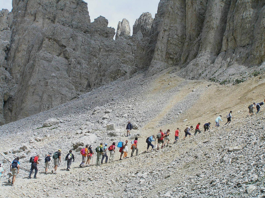 Dolomiti Explora Day Tours景点图片