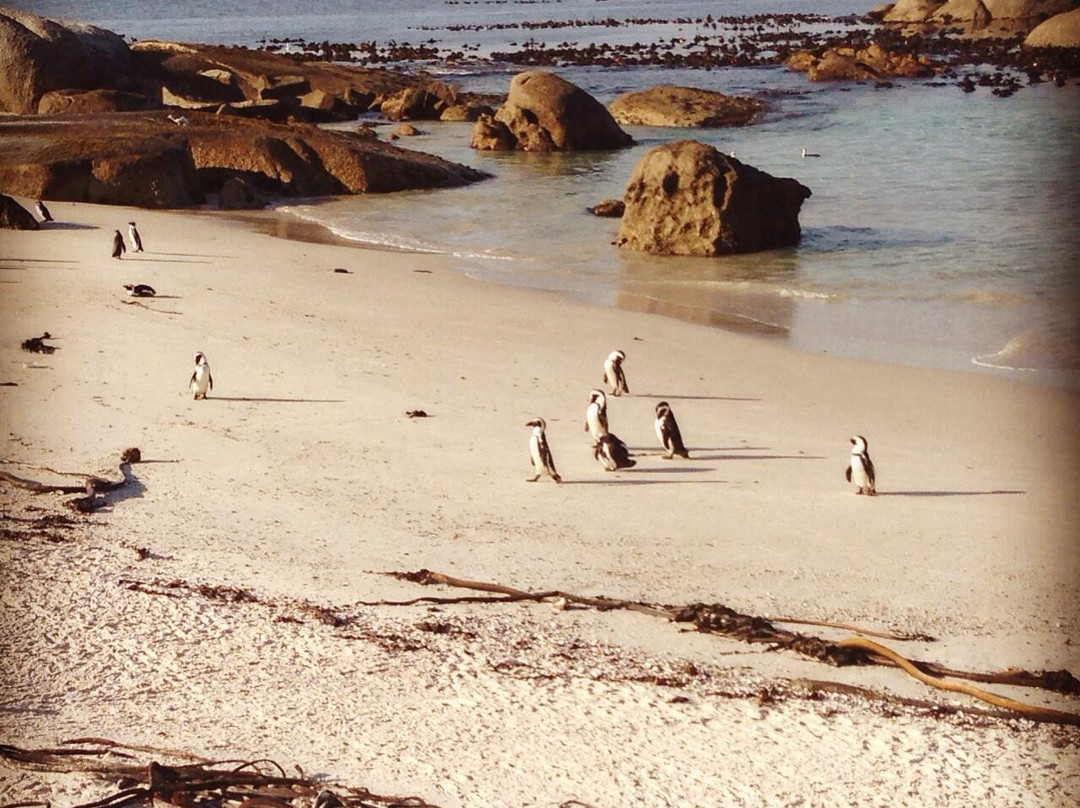 Bike and Saddle-克尼斯纳必去景点