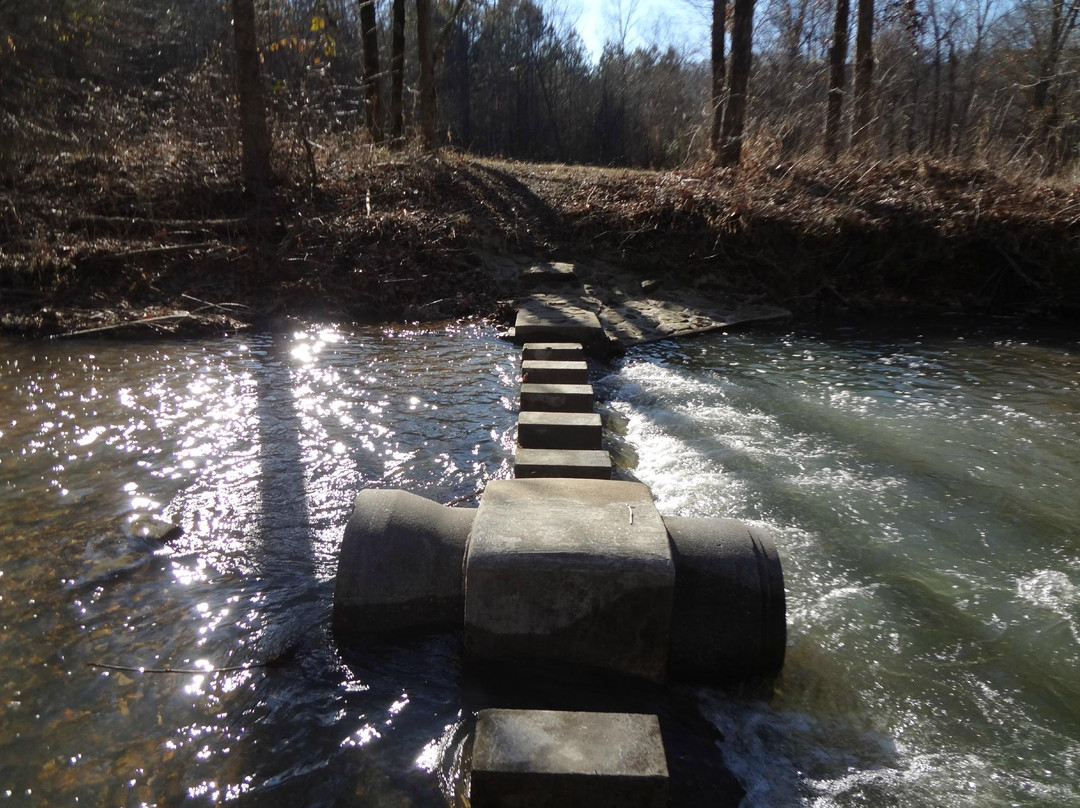 Cane Creek Canyon Nature Preserve景点图片