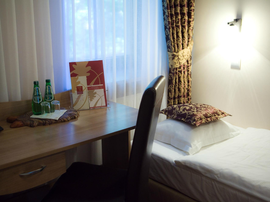 Hotel Debowe Wzgorze主图