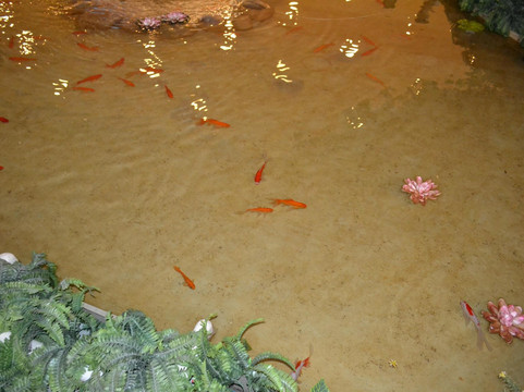 大连香洲花园酒店主图