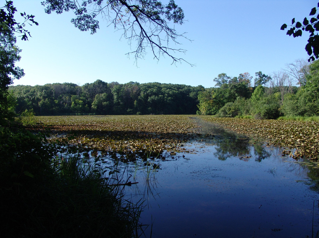 Lebanon Hills Regional Park景点图片