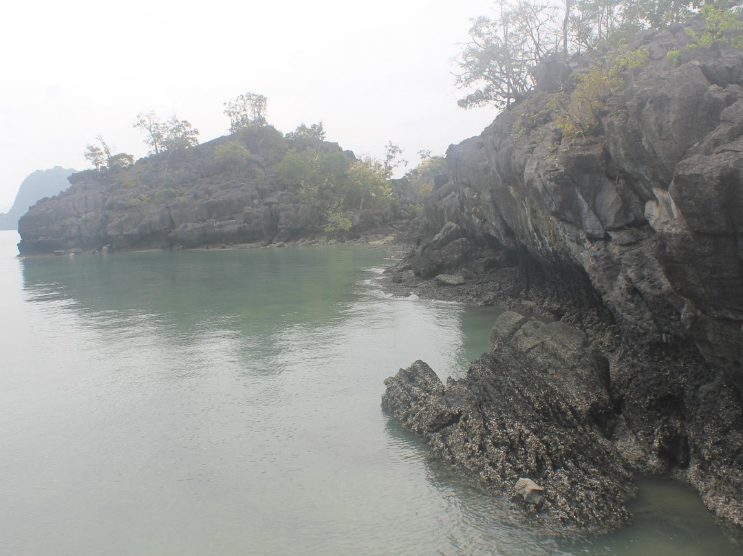 Langkawi Mangrove Tour - Day Tours景点图片