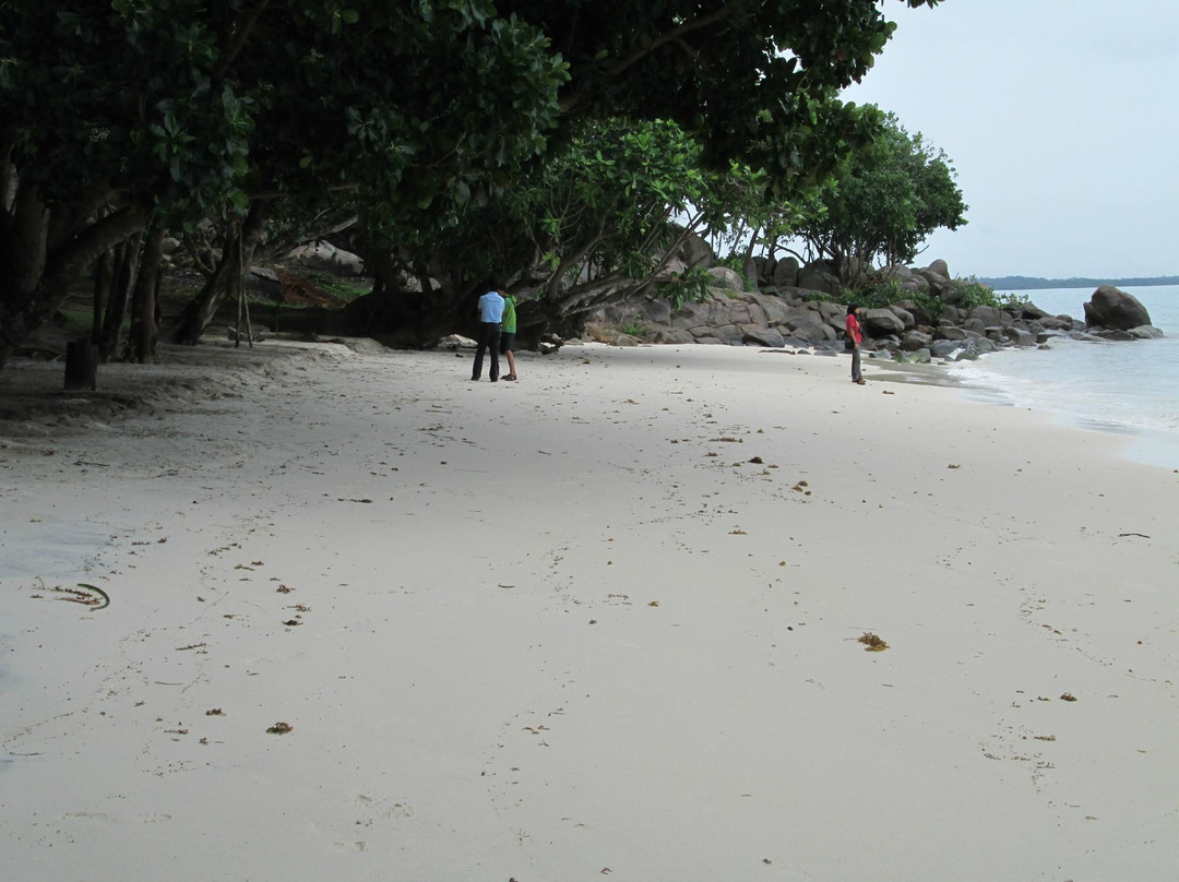 Desa Nelayan Tanjung Binga景点图片