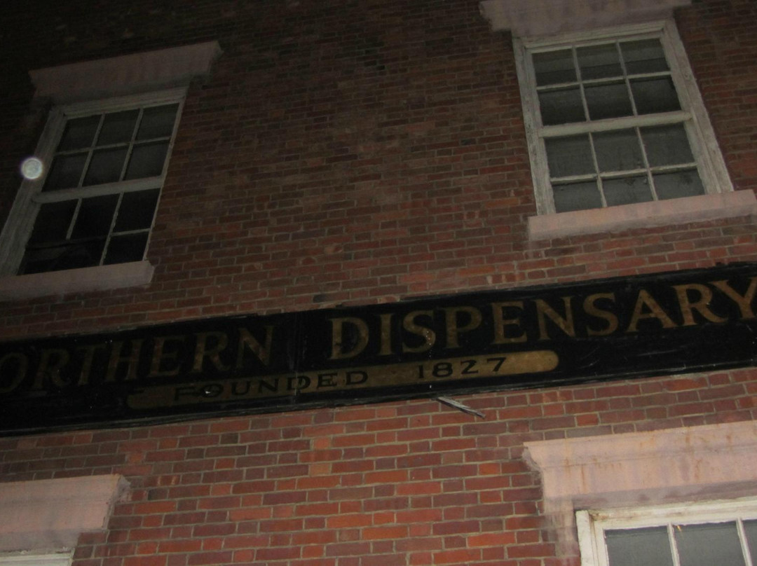 Best Tours-纽约市必去景点