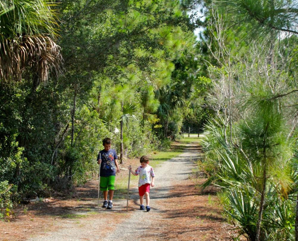 Spruce Bluff Preserve-圣露西港必去景点