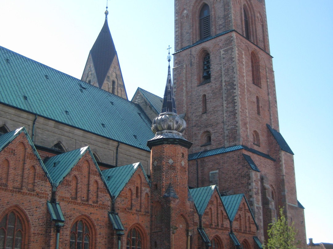 Ribe Domkirke-里伯必去景点