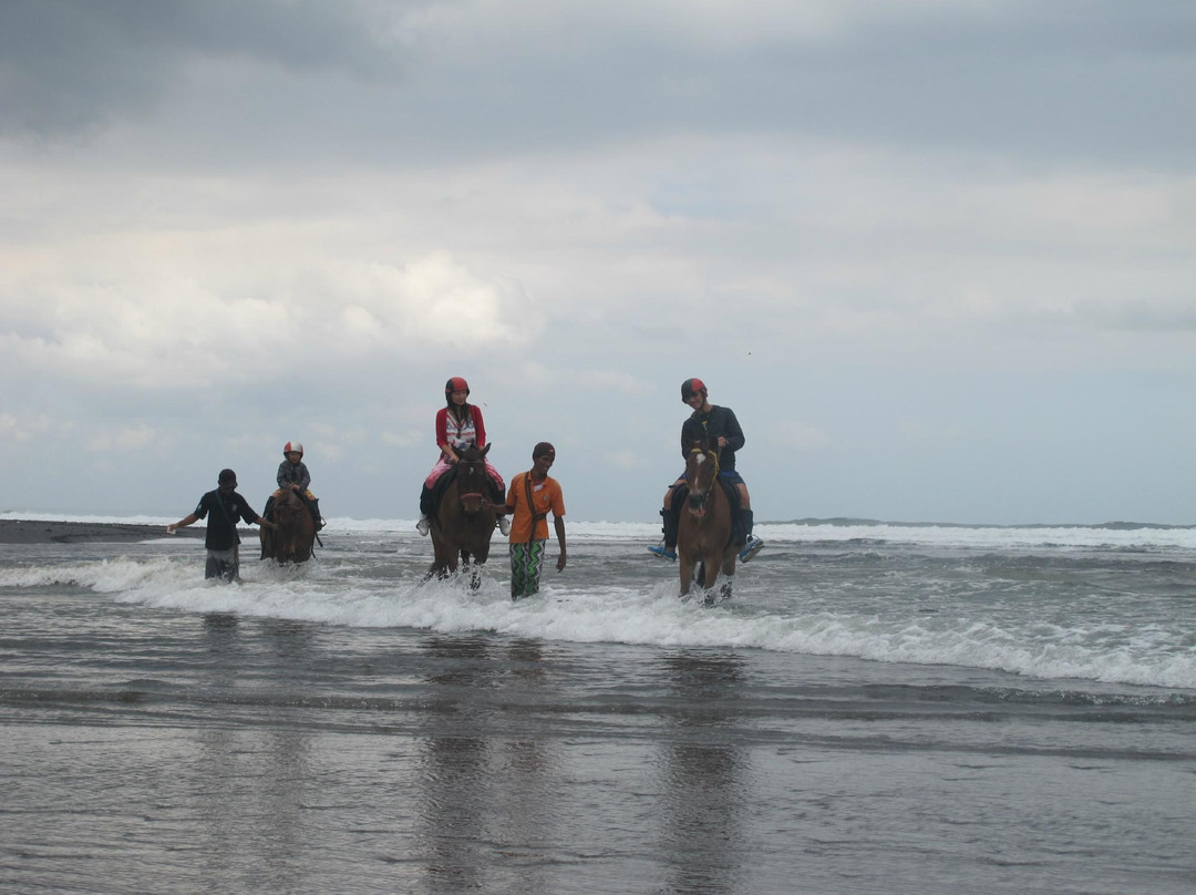 巴厘岛骑马游沙滩-达巴南必去景点