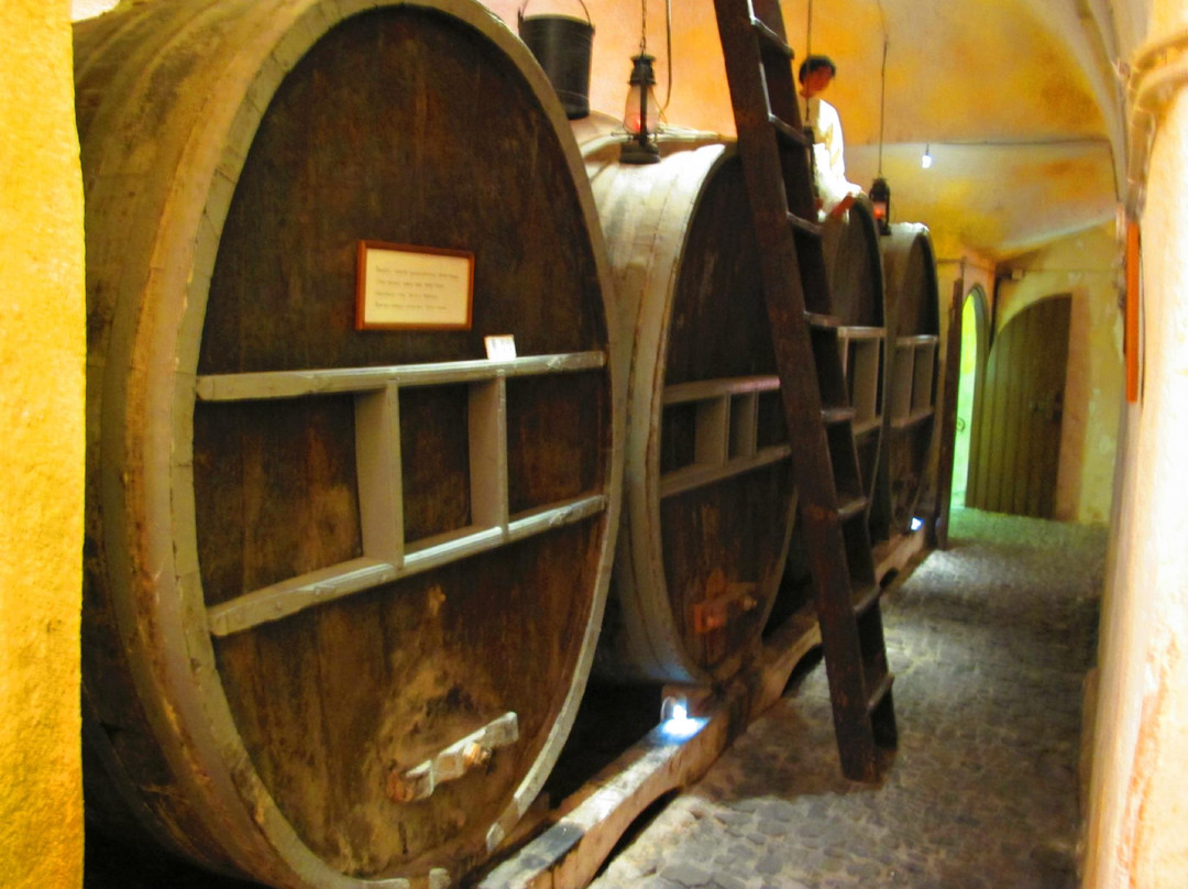 葡萄酒博物馆-Vothonas必去景点