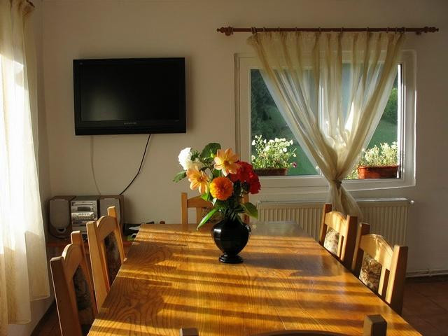 Dragoslovean Guesthouse主图