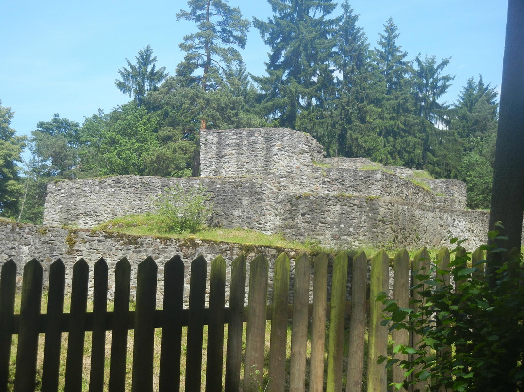 Ruins of the Kozi Hradek Castle景点图片