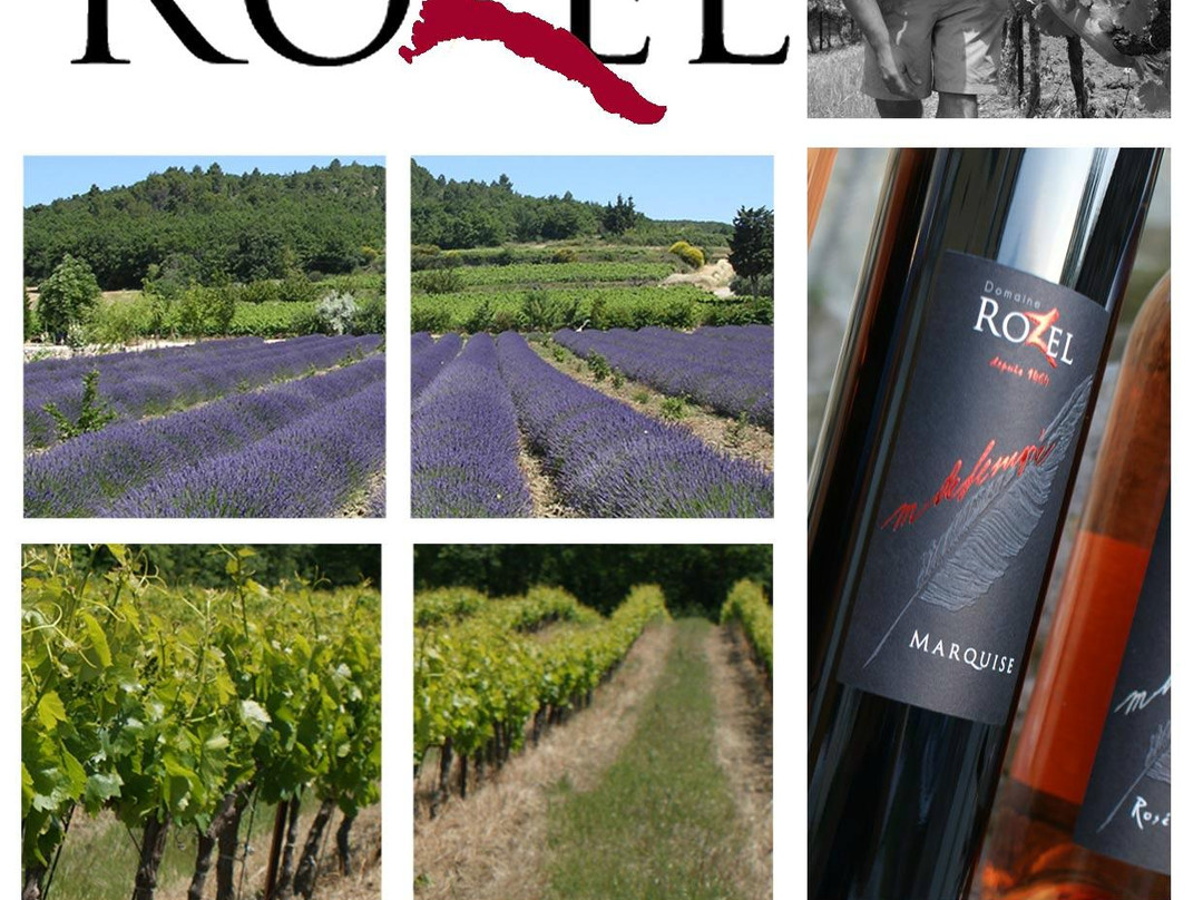 Domaine Rozel景点图片