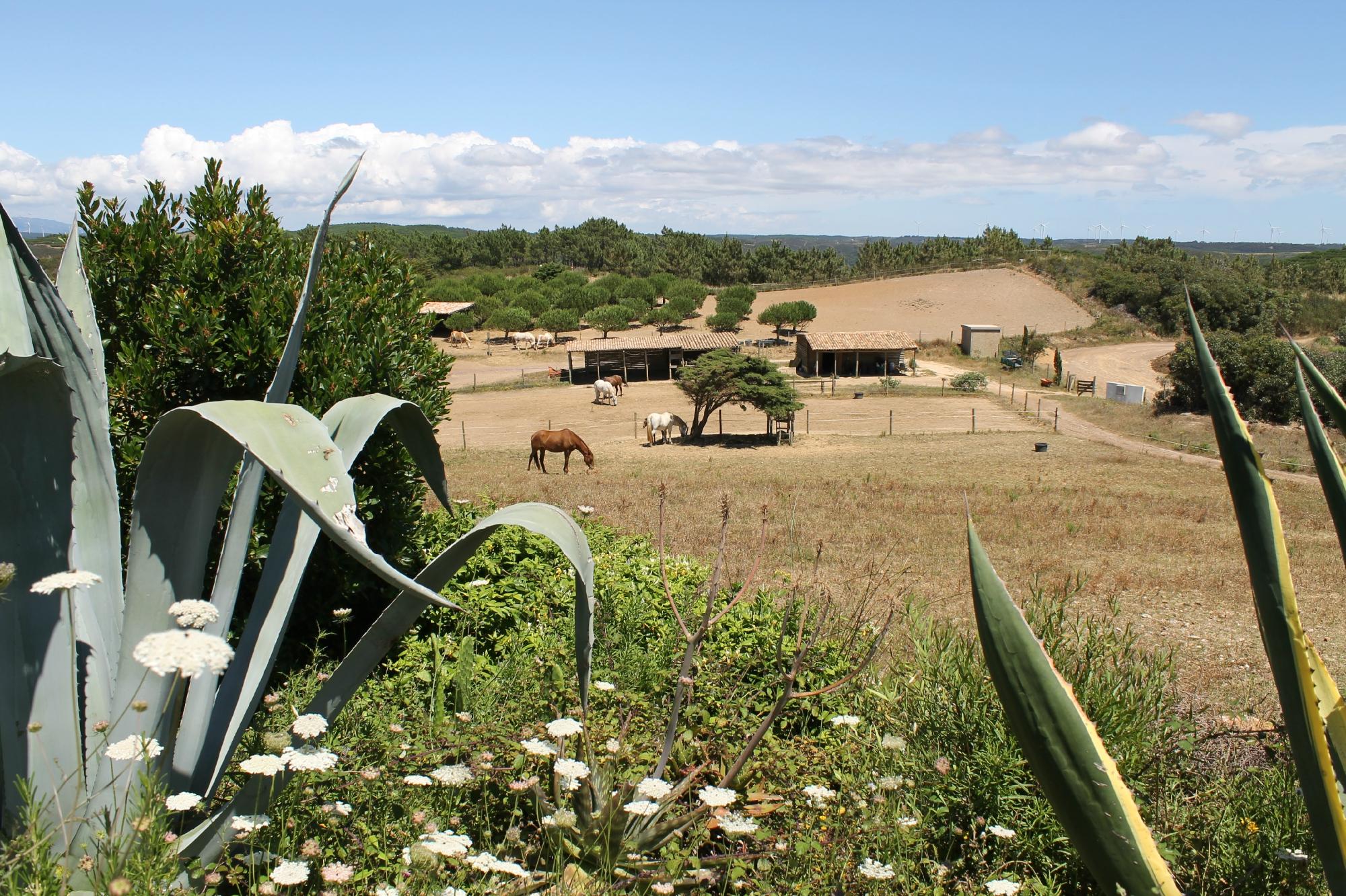 Monte Velho Retreat Centre-浴室