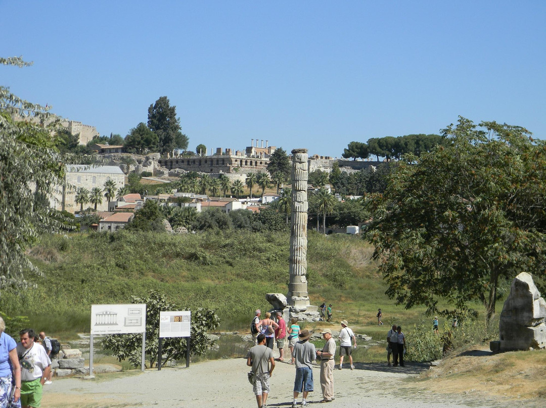 The Temple of Artemis-塞尔丘克必去景点
