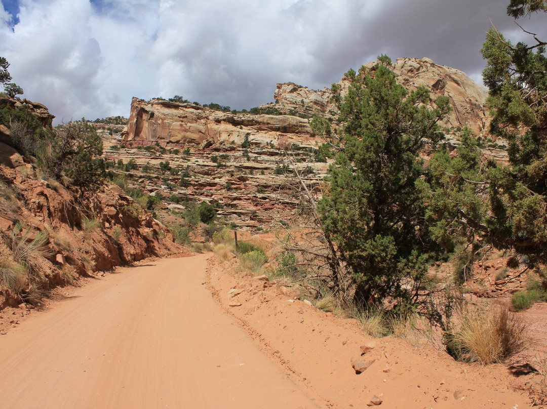Capitol Gorge Trail景点图片