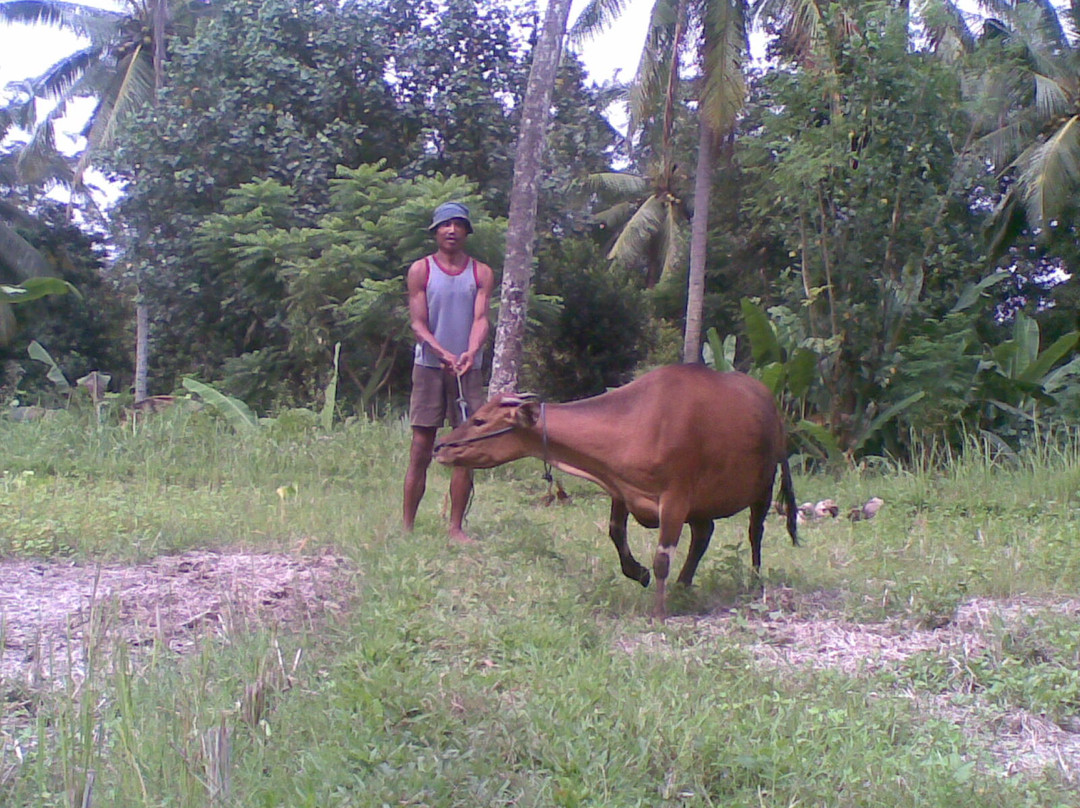Kelusa Village Experience-阿比安塞马尔必去景点