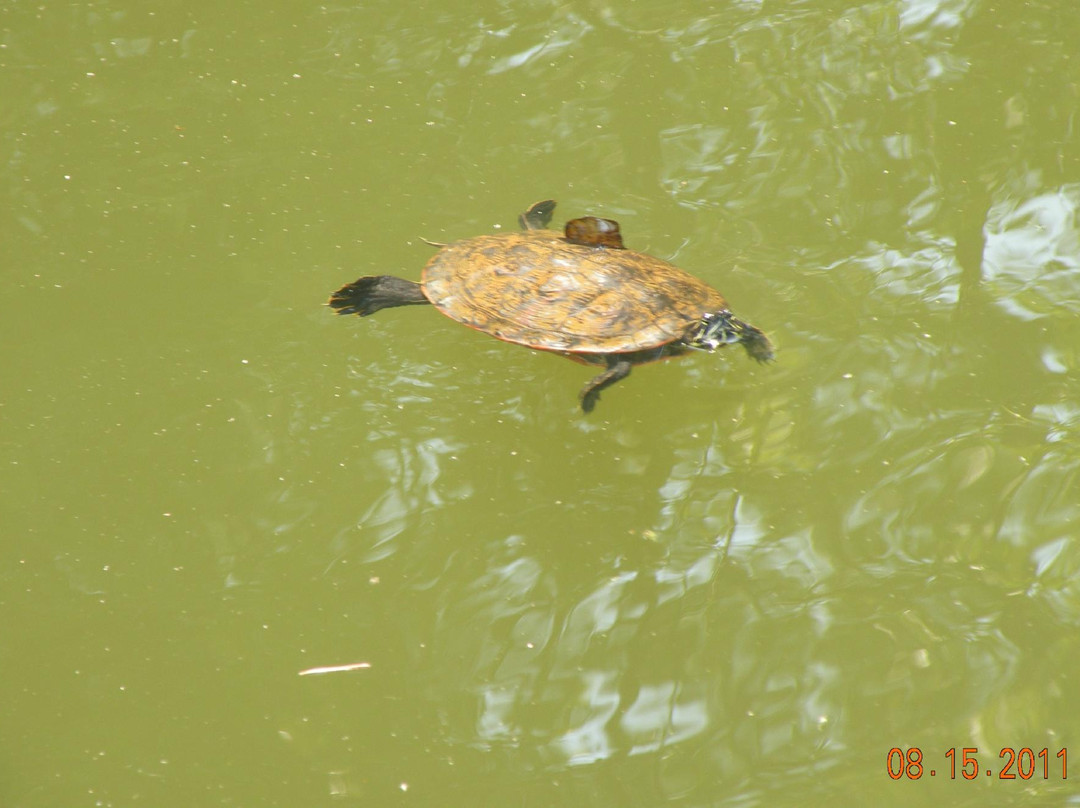 Sandy Bottom Nature Park-汉普顿必去景点