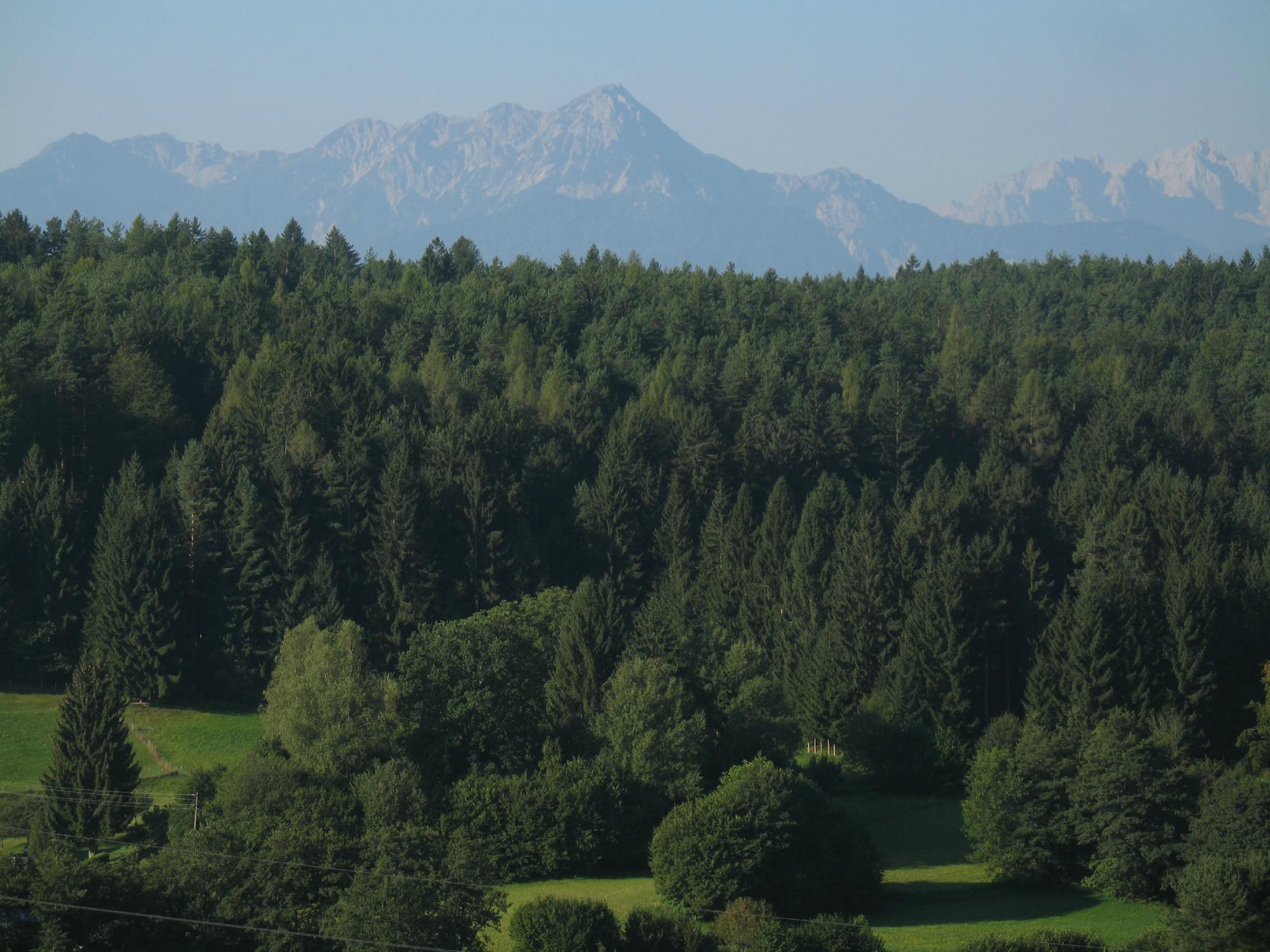 Hotel - Restaurant Ulbing-酒店景观