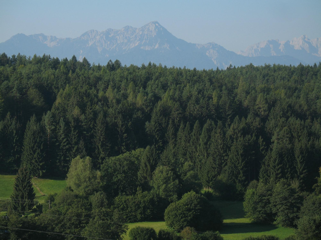 Hotel - Restaurant Ulbing主图