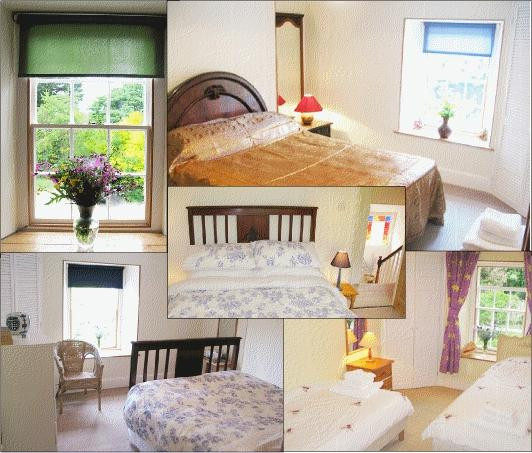 Mill House Retreat B&B主图