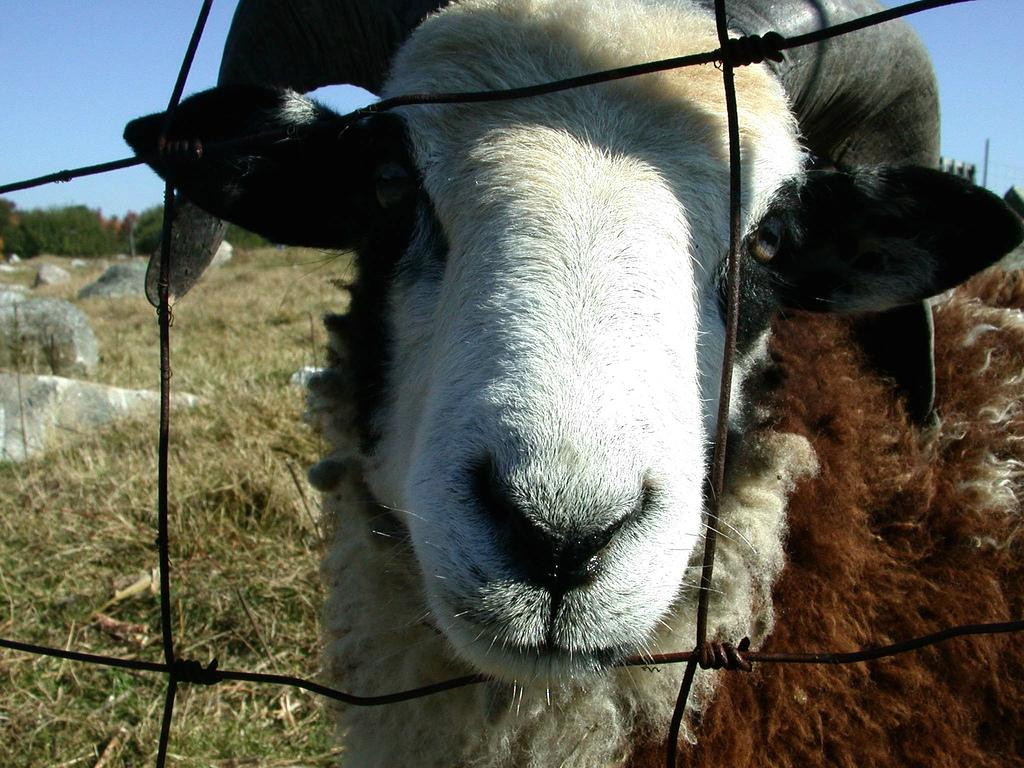 Red Apple Farm-Phillipston必去景点