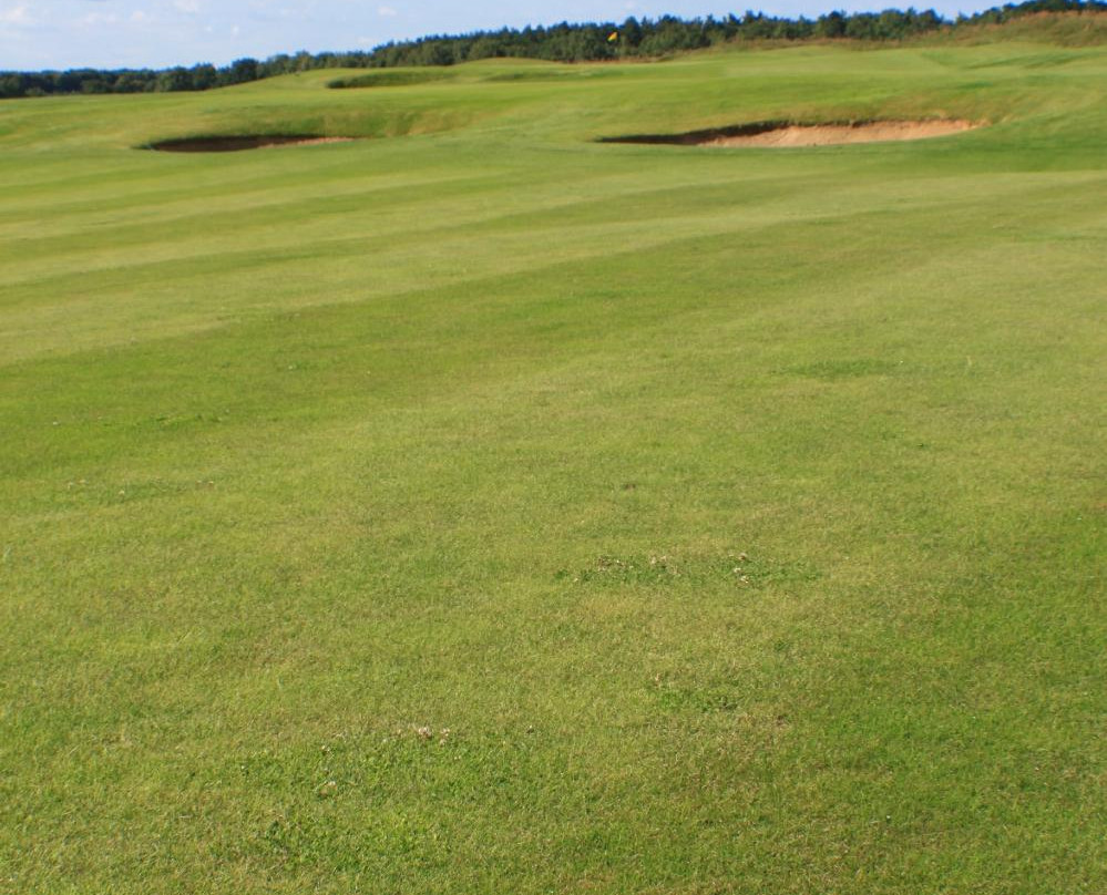 Nick Faldo Golf Course-Bad Saarow必去景点