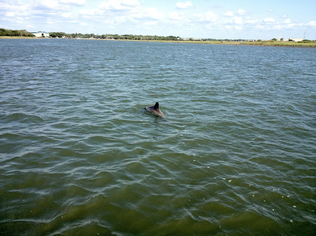 Eco Tours & More-圣奥古斯丁必去景点