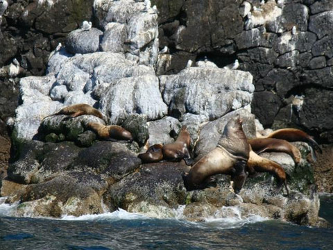 Alaska Fjord Charters-苏厄德必去景点