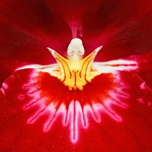 Sunrise Spa-圣彼德斯堡必去景点