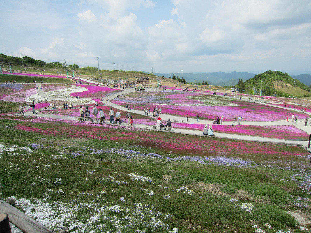 Chausuyama-丰根村必去景点