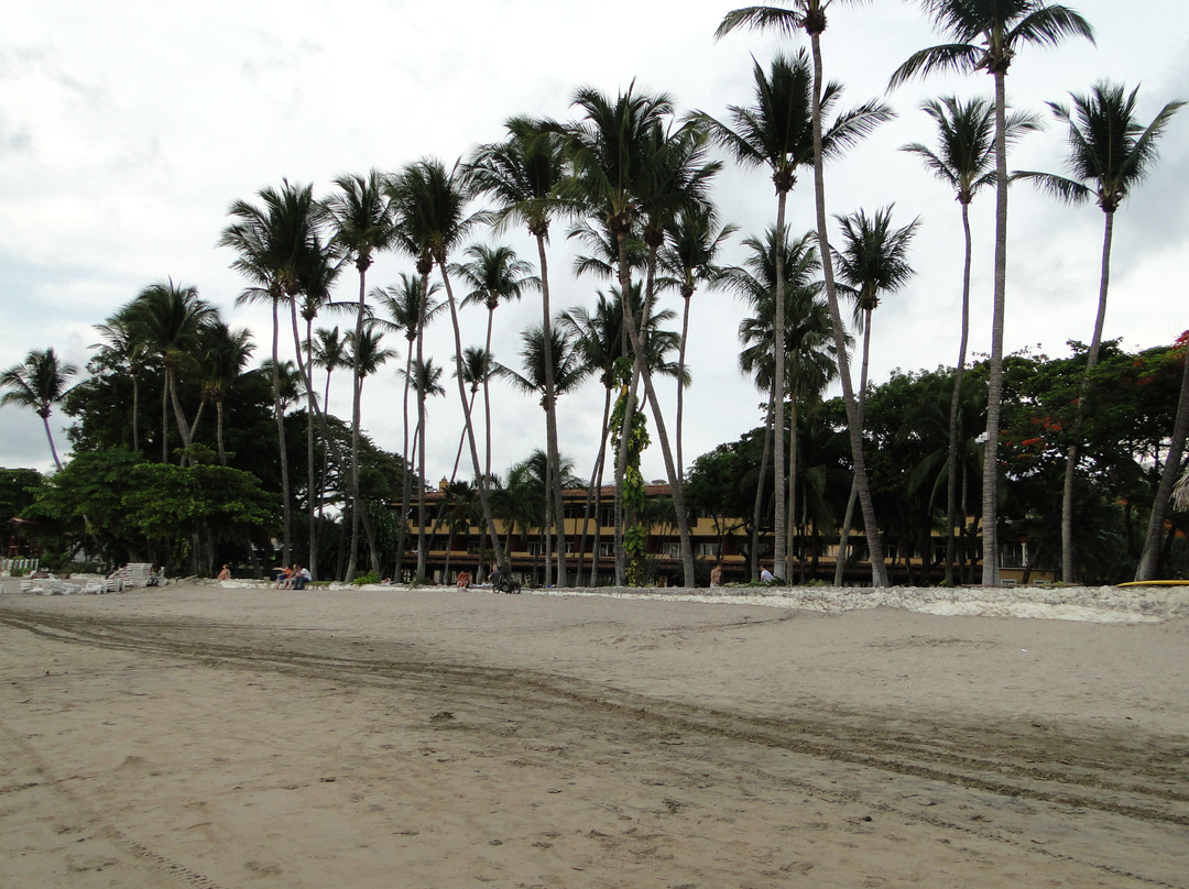 Tamarindo Beach景点图片
