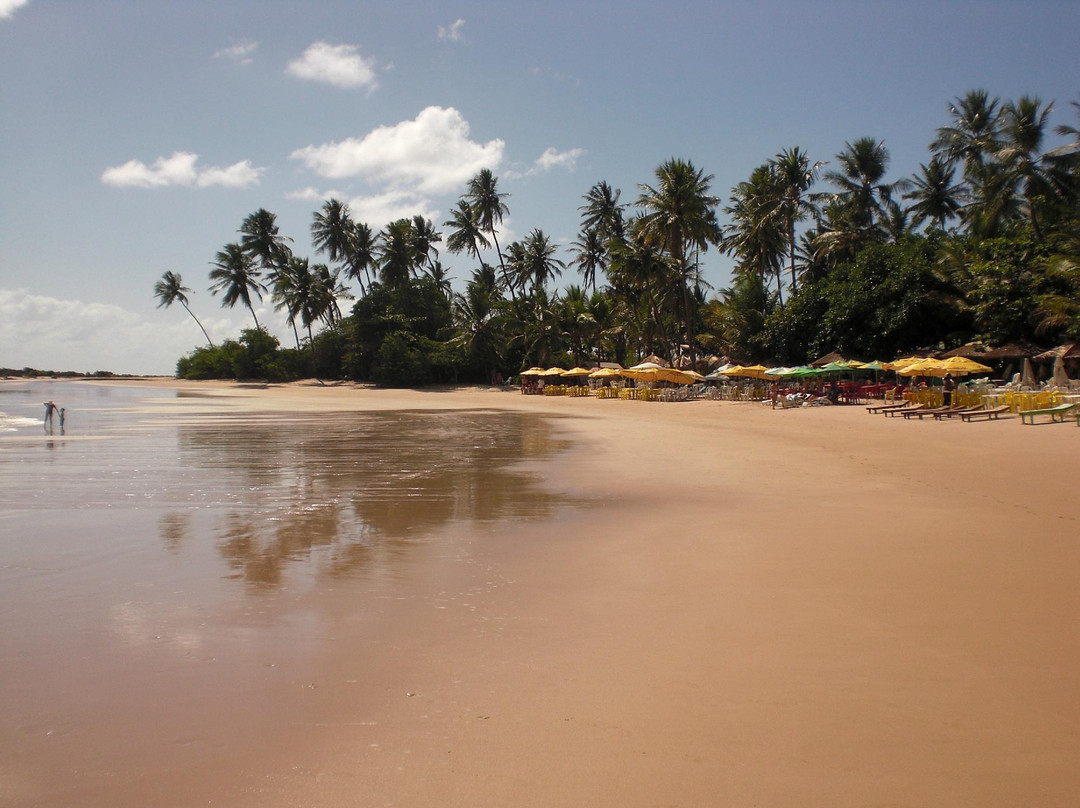 Praia do Coqueirinho-Conde必去景点