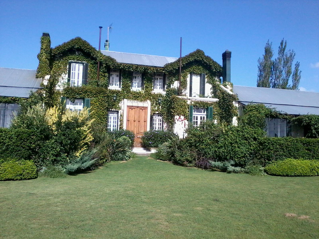 San Pedro酒店住宿-La Casa de los Limoneros