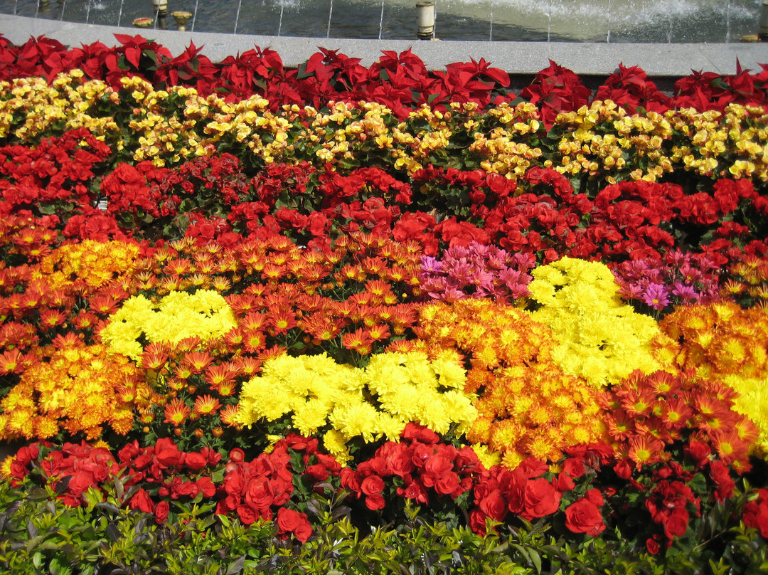 大叻花园-大勒必去景点