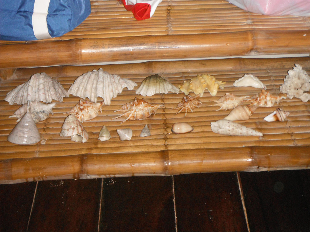 Guyam Island-锡亚高岛必去景点