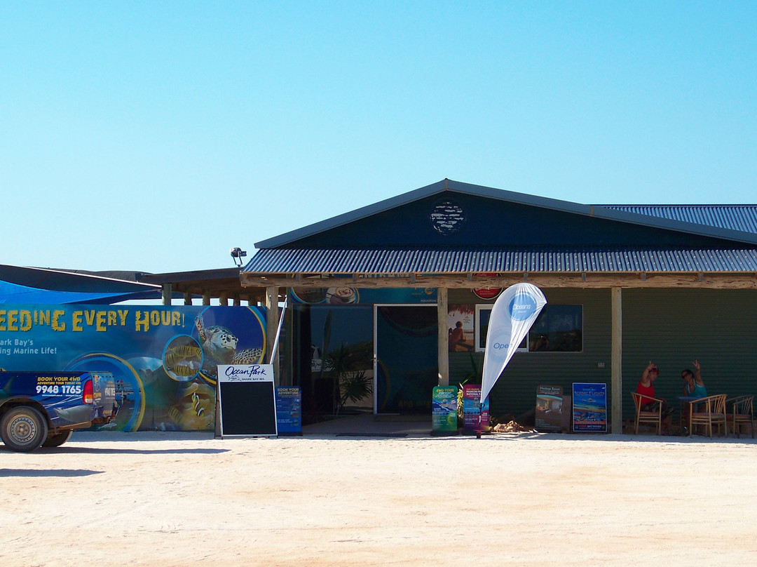 Ocean Park Aquarium-德纳姆必去景点