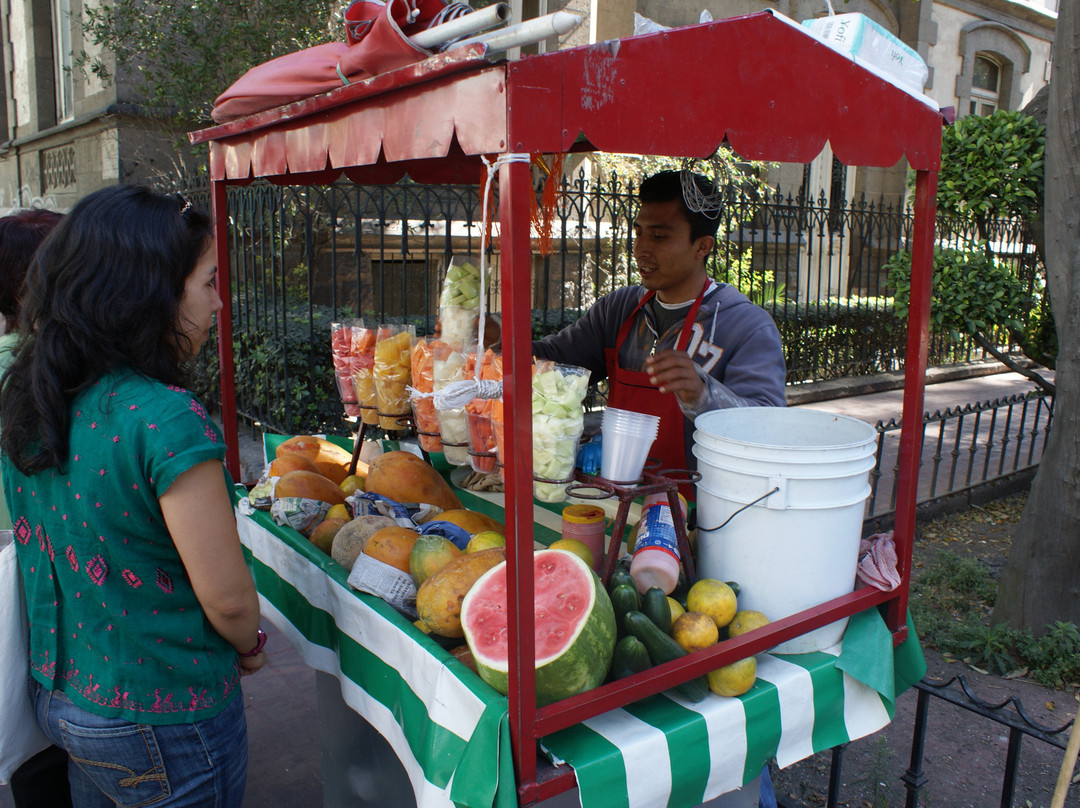 Eat Mexico Culinary Tours-墨西哥城必去景点