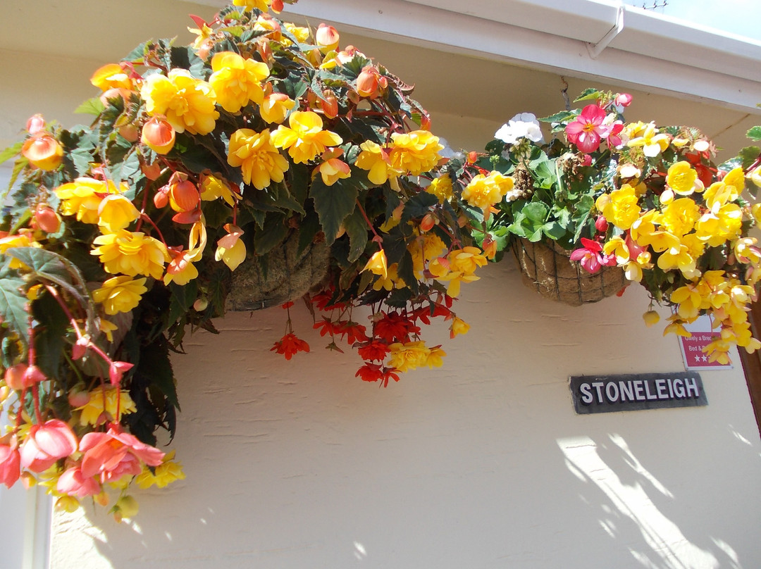 Stoneleigh B&B主图